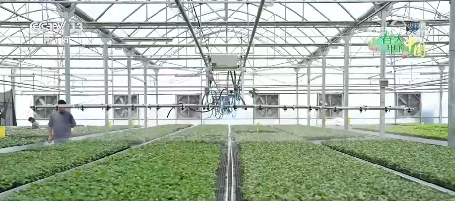 北京各大医院黄牛代挂号电话票贩子号贩子网上预约挂号,住院检查加快,希望的田野万象“耕”新不负春 万亩金色花海点燃富民兴村新引擎