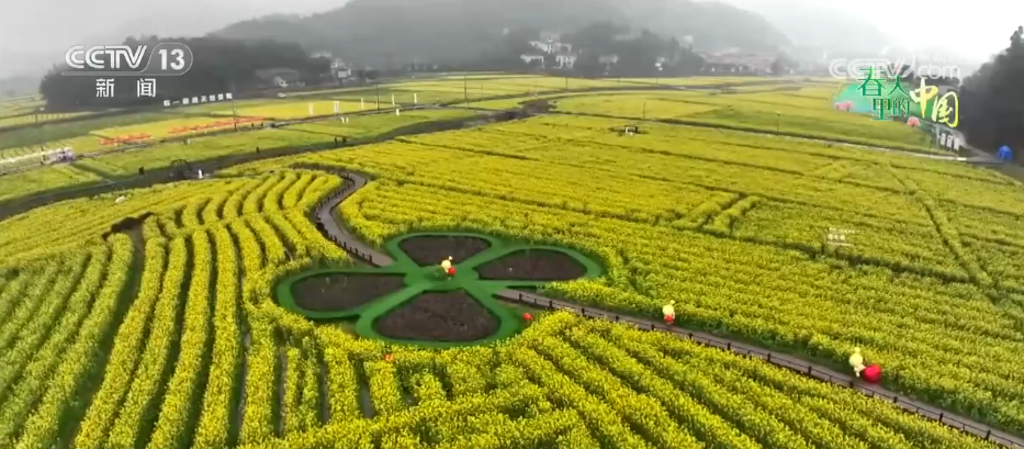 北京各大医院黄牛代挂号电话票贩子号贩子网上预约挂号,住院检查加快,希望的田野万象“耕”新不负春 万亩金色花海点燃富民兴村新引擎