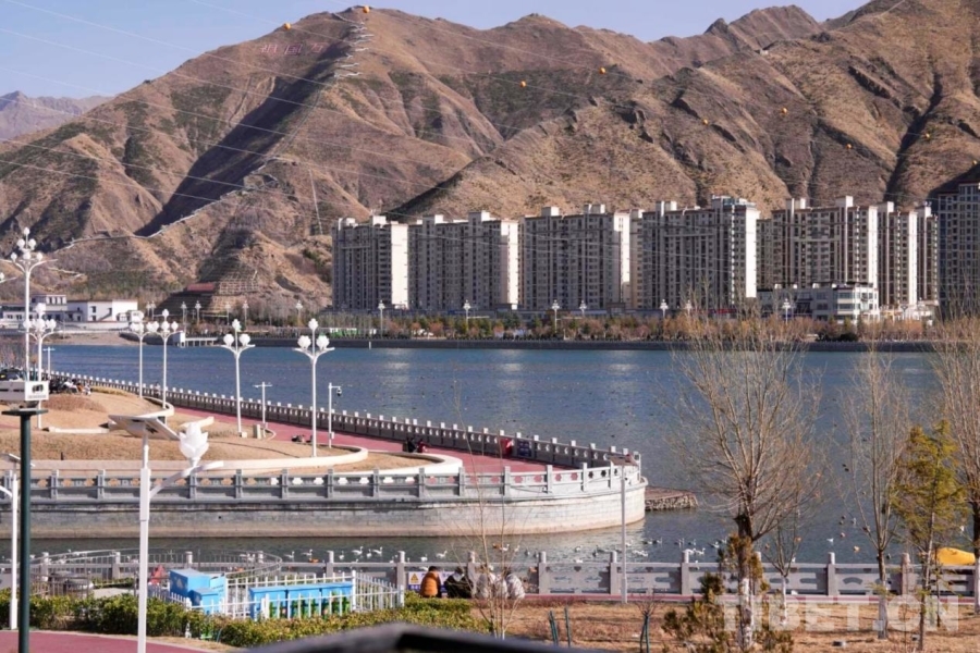 
上海新华医院黄牛代挂号电话票贩子号贩子网上预约挂号,住院检查加快,一湾碧水映千鸟 且看拉萨河生态画卷