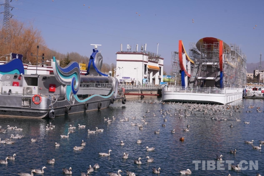 
上海新华医院黄牛代挂号电话票贩子号贩子网上预约挂号,住院检查加快,一湾碧水映千鸟 且看拉萨河生态画卷