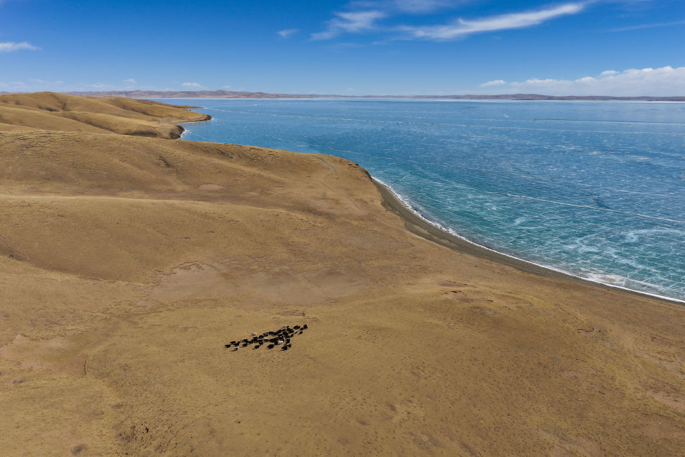 
西安各大医院黄牛代挂号电话票贩子号贩子网上预约挂号,住院检查加快,世界水日：听，跨越山河的同频共振