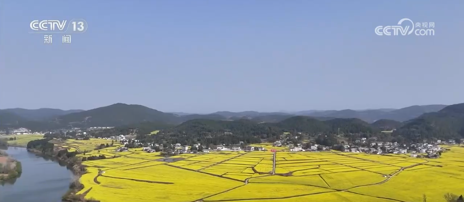 
北京中医药大学东直门医院黄牛代挂号电话票贩子号贩子网上预约挂号,住院检查加快,繁花绽放“美丽经济” 多彩活动点燃春日文旅消费热情