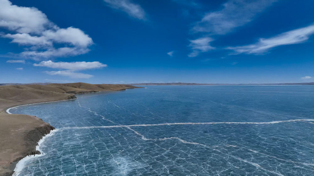 
西安各大医院黄牛代挂号电话票贩子号贩子网上预约挂号,住院检查加快,世界水日：听，跨越山河的同频共振
