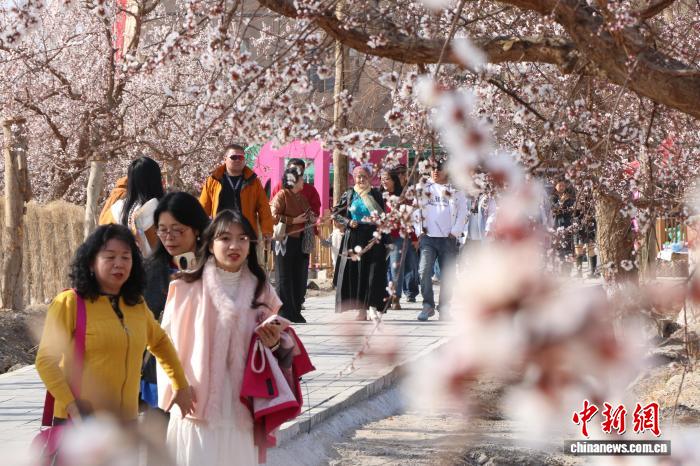 
上海第九人民医院黄牛代挂号电话票贩子号贩子网上预约挂号,住院检查加快,新疆“杏花村”：“以花为媒”解锁“杏”福产业