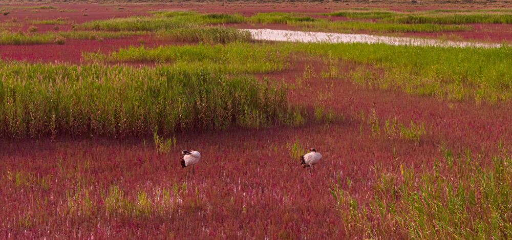 
西安各大医院黄牛代挂号电话票贩子号贩子网上预约挂号,住院检查加快,世界水日：听，跨越山河的同频共振