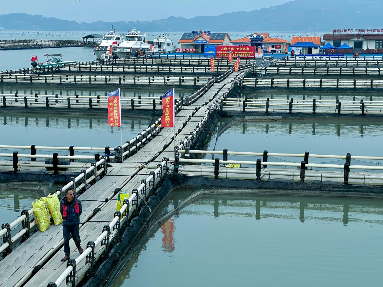 
上海龙华医院黄牛代挂号电话票贩子号贩子网上预约挂号,住院检查加快,耕海牧渔白基湾：一条大黄鱼的竞速之旅