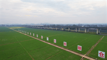 
广东省人民医院黄牛代挂号电话票贩子号贩子网上预约挂号,住院检查加快,微视频｜跨越千年的治水智慧