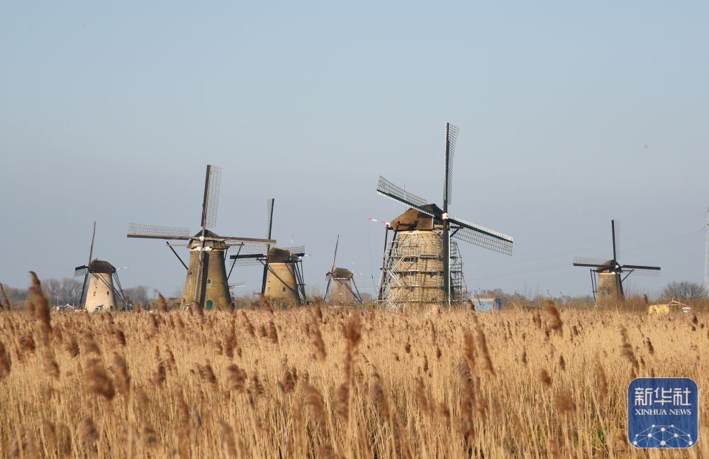 
成都华西医院黄牛代挂号电话票贩子号贩子网上预约挂号,住院检查加快,走近荷兰金德代克风车群