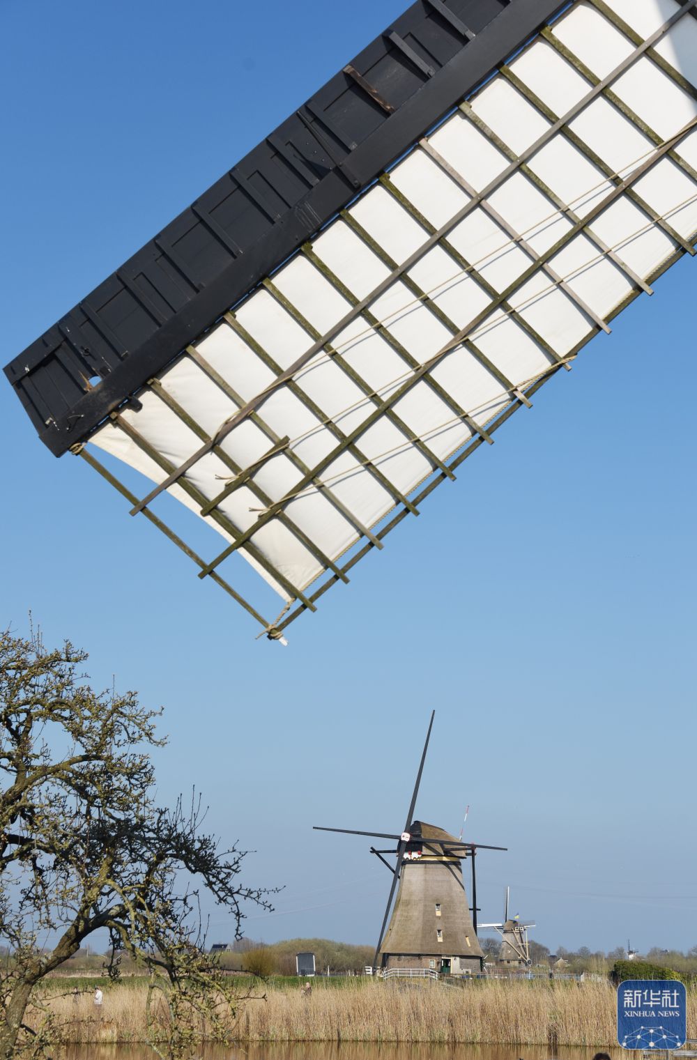 
成都华西医院黄牛代挂号电话票贩子号贩子网上预约挂号,住院检查加快,走近荷兰金德代克风车群