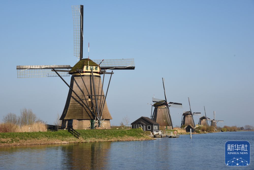 
成都华西医院黄牛代挂号电话票贩子号贩子网上预约挂号,住院检查加快,走近荷兰金德代克风车群