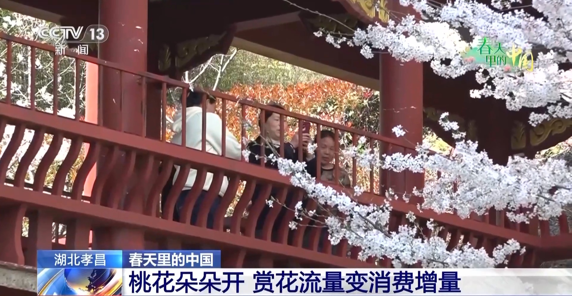 
北京大学第六医院黄牛代挂号电话票贩子号贩子网上预约挂号,住院检查加快,视频丨赏花流量→消费增量 春日“花经济”促振兴