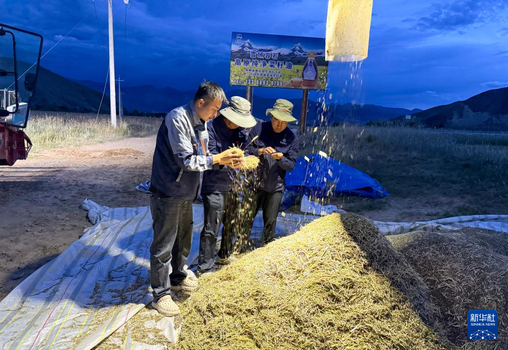 
北京各大医院黄牛代挂号电话票贩子号贩子网上预约挂号,住院检查加快,西藏山南：生态优势＋技术创新 带动农民持续增收