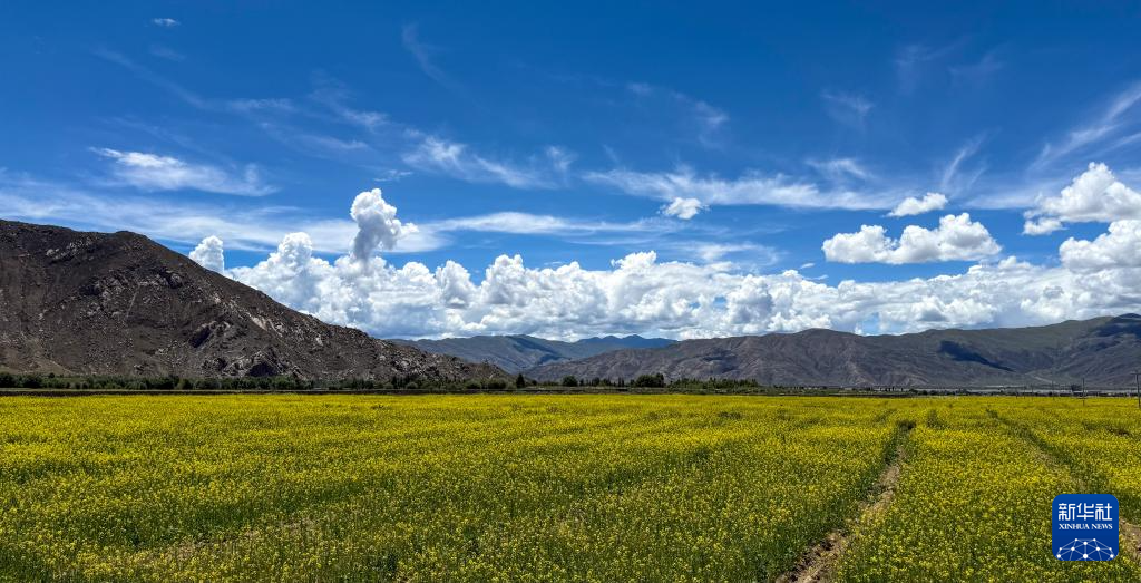 
北京各大医院黄牛代挂号电话票贩子号贩子网上预约挂号,住院检查加快,西藏山南：生态优势＋技术创新 带动农民持续增收