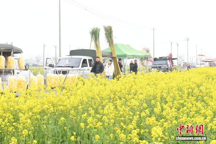 
代挂姜玉武的号黄牛代挂号电话票贩子号贩子网上预约挂号,住院检查加快,江淮侨乡六家畈春日文旅热潮涌