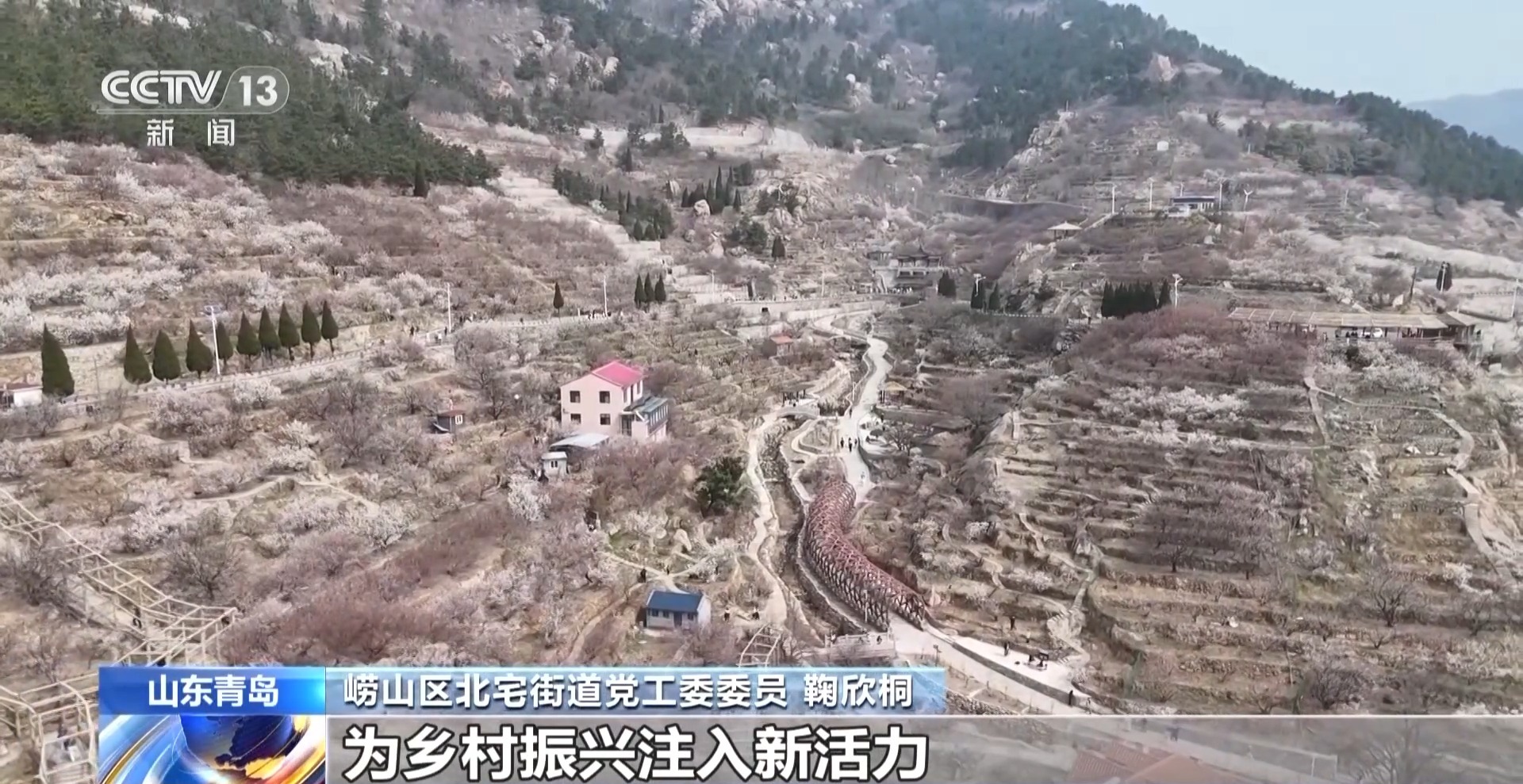 
北京大学第六医院黄牛代挂号电话票贩子号贩子网上预约挂号,住院检查加快,视频丨赏花流量→消费增量 春日“花经济”促振兴