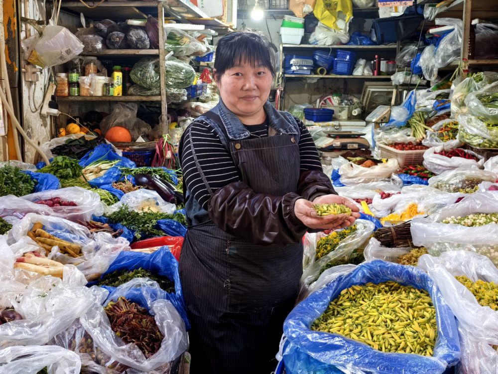 
上海中山医院黄牛代挂号电话票贩子号贩子网上预约挂号,住院检查加快,马力全开！春日消费“花开”多地