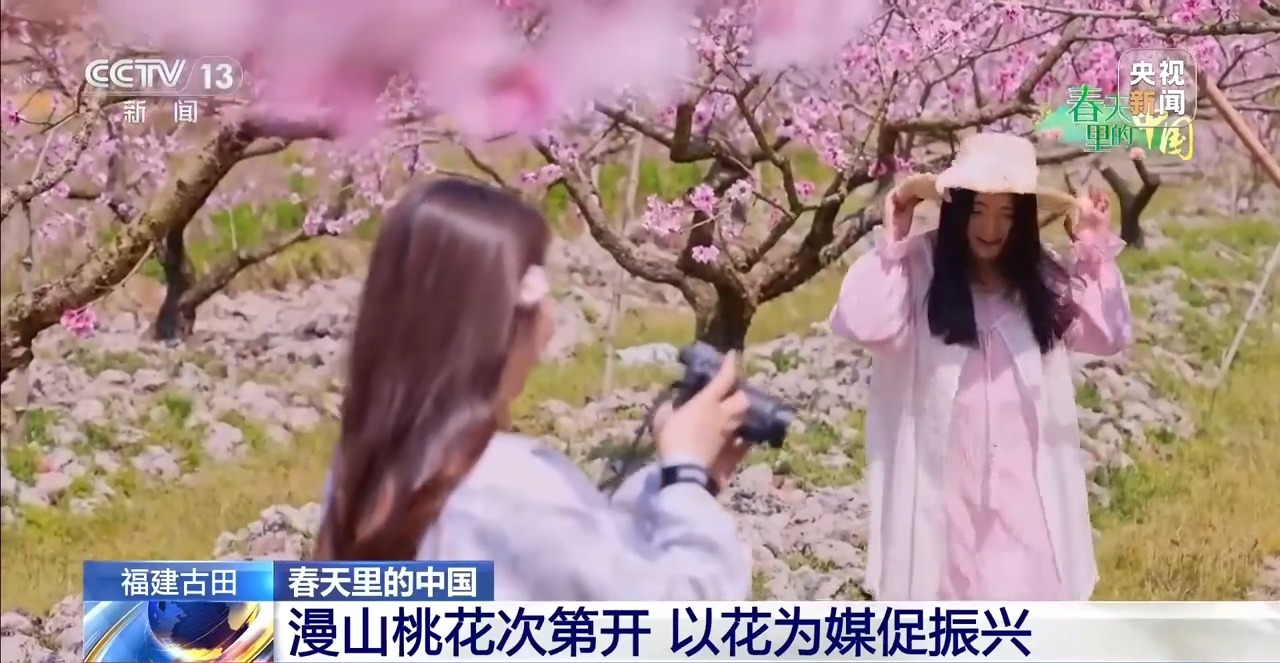 
北京同仁医院黄牛代挂号电话票贩子号贩子网上预约挂号,住院检查加快,赏花正当时 多地花海“上新”春日经济