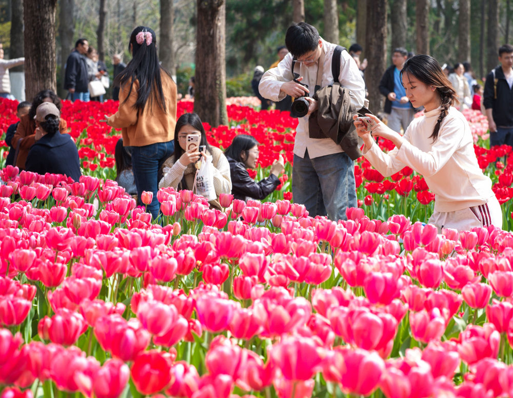 
上海中山医院黄牛代挂号电话票贩子号贩子网上预约挂号,住院检查加快,马力全开！春日消费“花开”多地