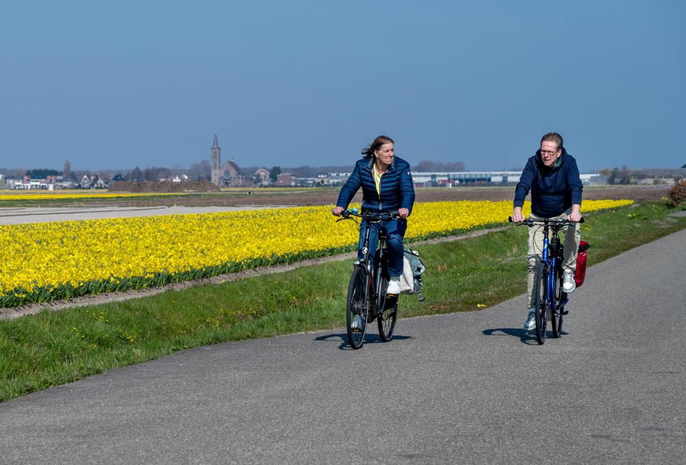 北京协和医院黄牛代挂号电话票贩子号贩子网上预约挂号,住院检查加快,荷兰：春意盎然