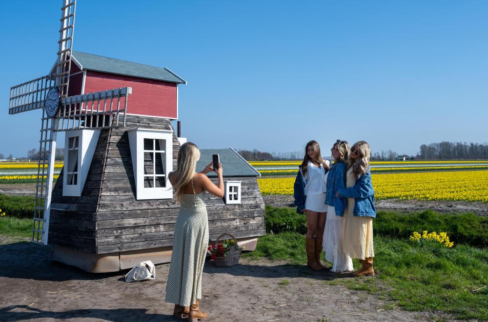 北京协和医院黄牛代挂号电话票贩子号贩子网上预约挂号,住院检查加快,荷兰：春意盎然