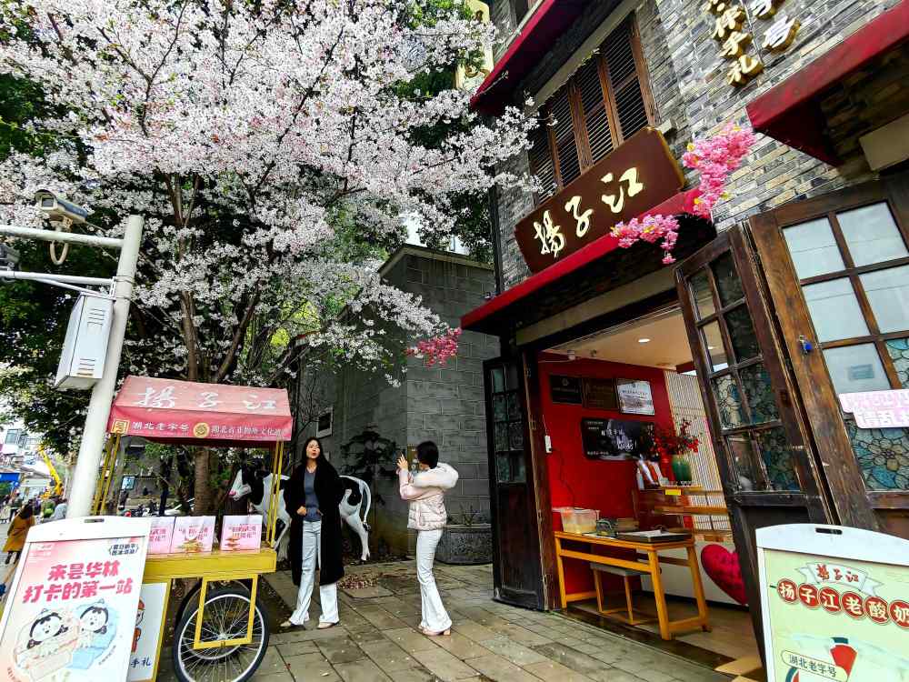 
杭州西溪医院黄牛代挂号电话票贩子号贩子网上预约挂号,住院检查加快,一朵花的N种“打开方式”：多地“赏花+”翻出新花样