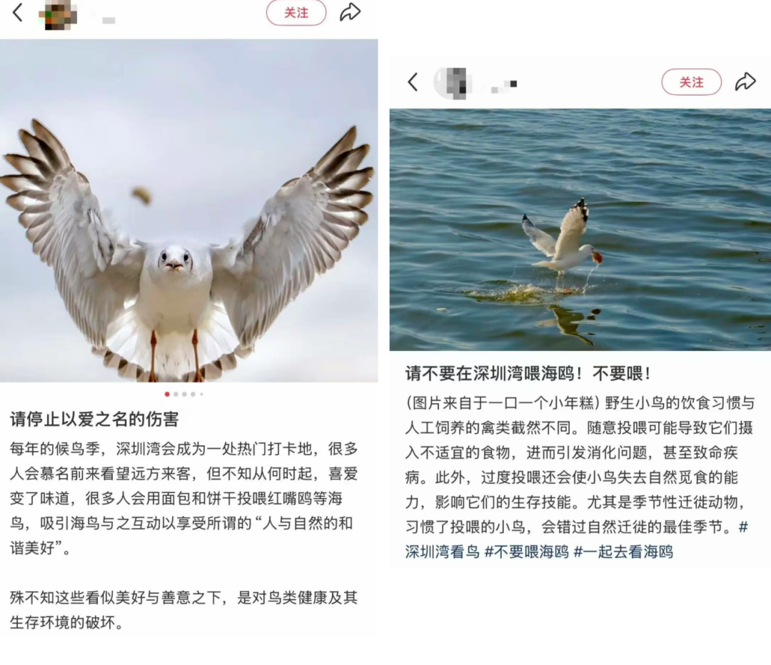 
上海精神卫生中心黄牛代挂号电话票贩子号贩子网上预约挂号,住院检查加快,高三学生请求“拆除鸟巢”！校长回应