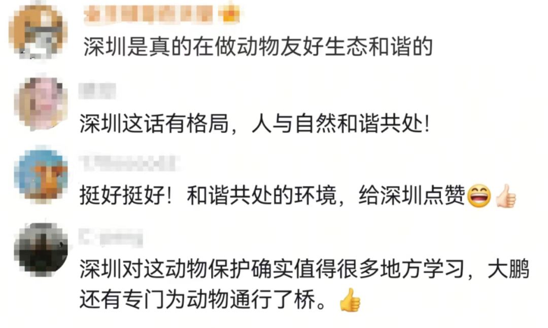 
上海精神卫生中心黄牛代挂号电话票贩子号贩子网上预约挂号,住院检查加快,高三学生请求“拆除鸟巢”！校长回应