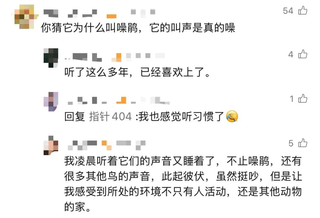 
上海精神卫生中心黄牛代挂号电话票贩子号贩子网上预约挂号,住院检查加快,高三学生请求“拆除鸟巢”！校长回应