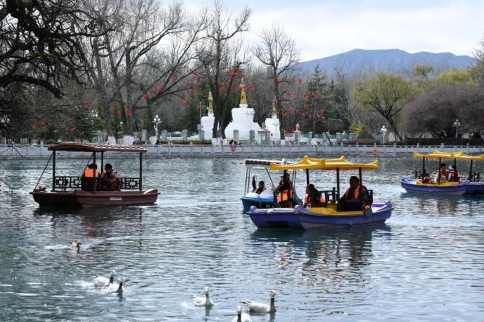 
杭州市妇幼保健院黄牛代挂号电话票贩子号贩子网上预约挂号,住院检查加快,67年前，这场中国版“废奴运动”让西藏换了人间