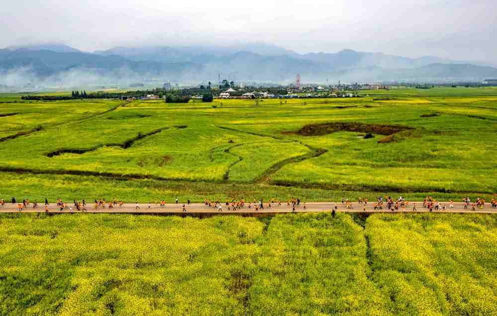 
杭州西溪医院黄牛代挂号电话票贩子号贩子网上预约挂号,住院检查加快,一朵花的N种“打开方式”：多地“赏花+”翻出新花样