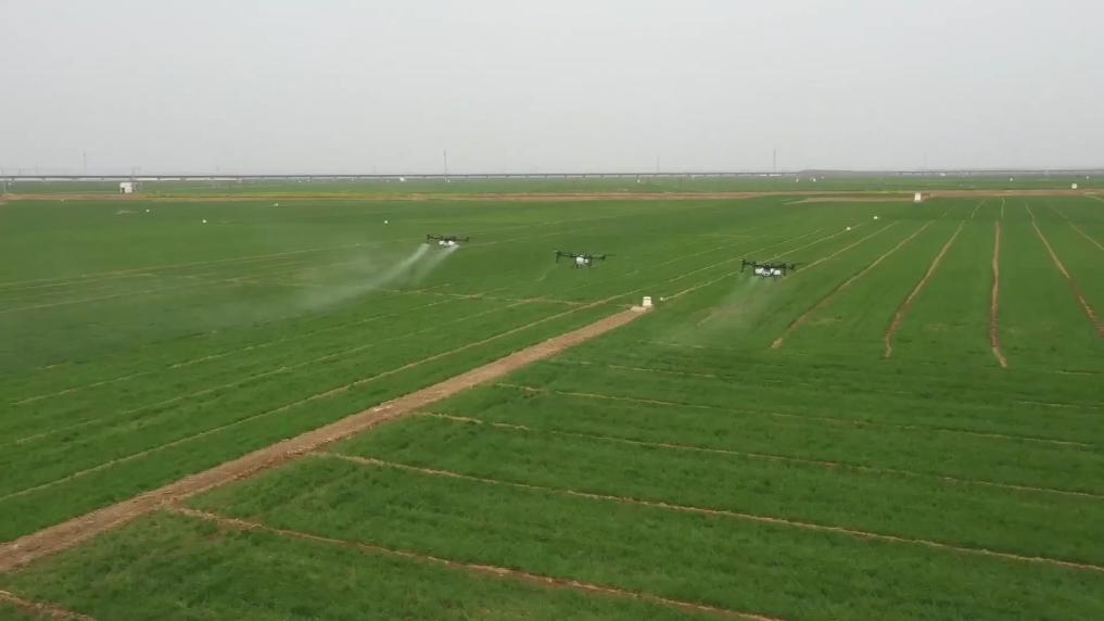 
广州儿童医院黄牛代挂号电话票贩子号贩子网上预约挂号,住院检查加快,新华视点｜春耕一线扫描：精准施策 向新提质