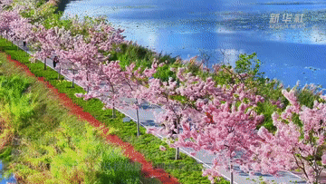 
广州肿瘤医院黄牛代挂号电话票贩子号贩子网上预约挂号,住院检查加快,春日经济一线观察｜“踏青+”打造多元消费新场景