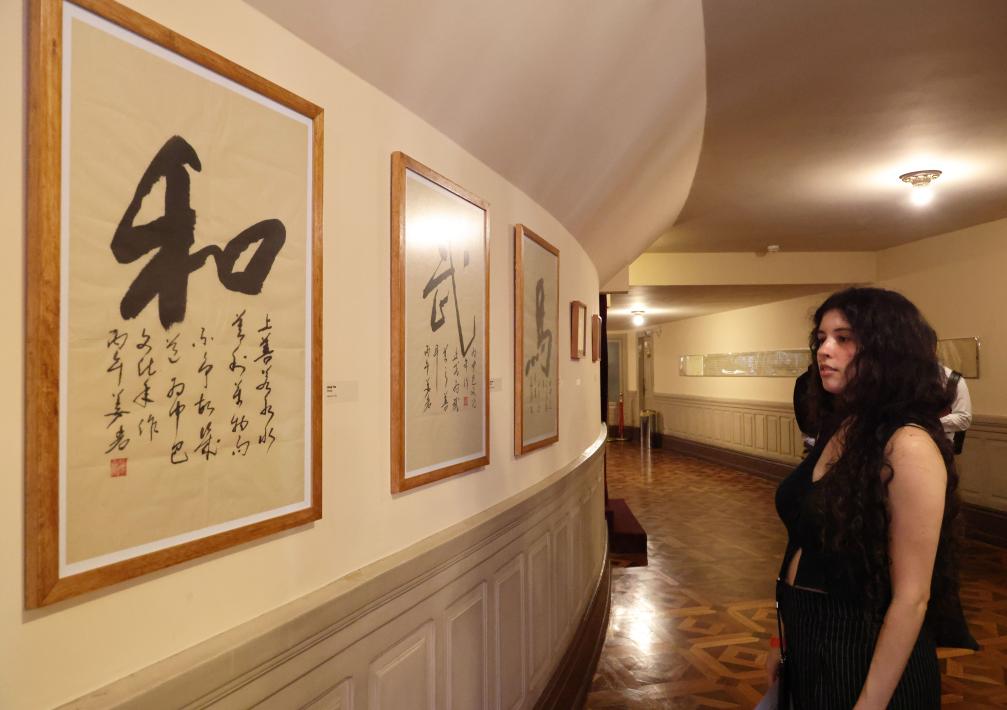 
天津肿瘤医院黄牛代挂号电话票贩子号贩子网上预约挂号,住院检查加快,心相近｜文化为桥 中巴友谊双向奔赴