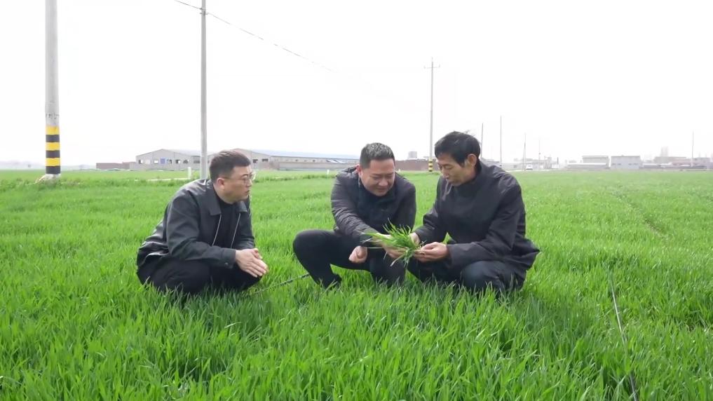 
广州儿童医院黄牛代挂号电话票贩子号贩子网上预约挂号,住院检查加快,新华视点｜春耕一线扫描：精准施策 向新提质