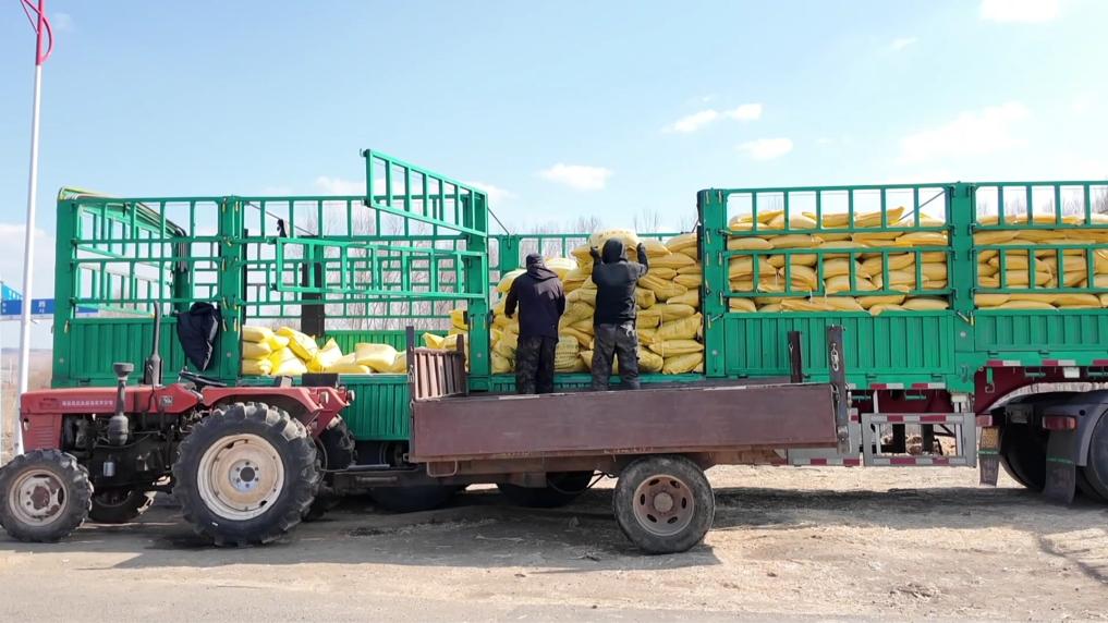 
广州儿童医院黄牛代挂号电话票贩子号贩子网上预约挂号,住院检查加快,新华视点｜春耕一线扫描：精准施策 向新提质