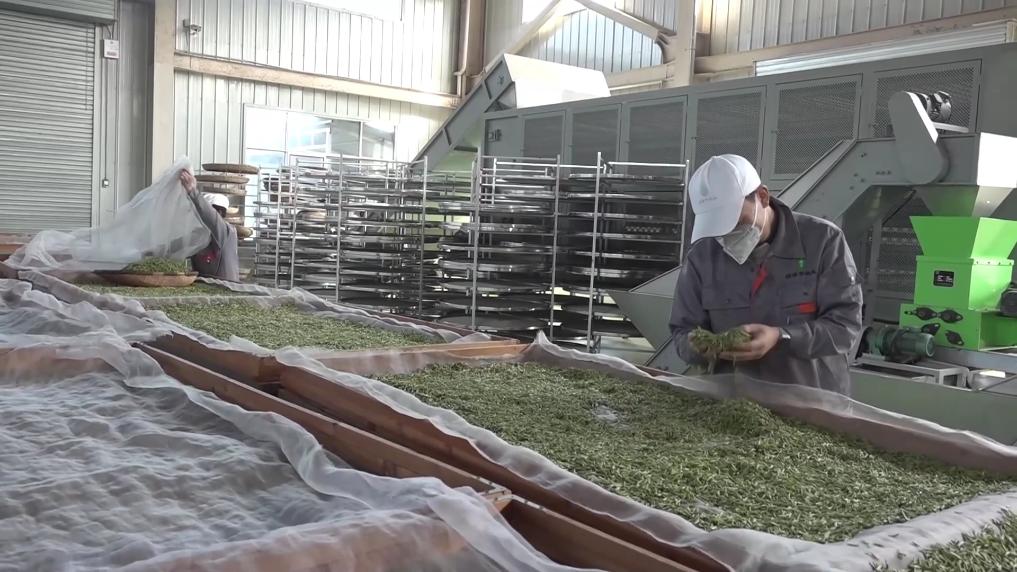 
广州儿童医院黄牛代挂号电话票贩子号贩子网上预约挂号,住院检查加快,新华视点｜春耕一线扫描：精准施策 向新提质