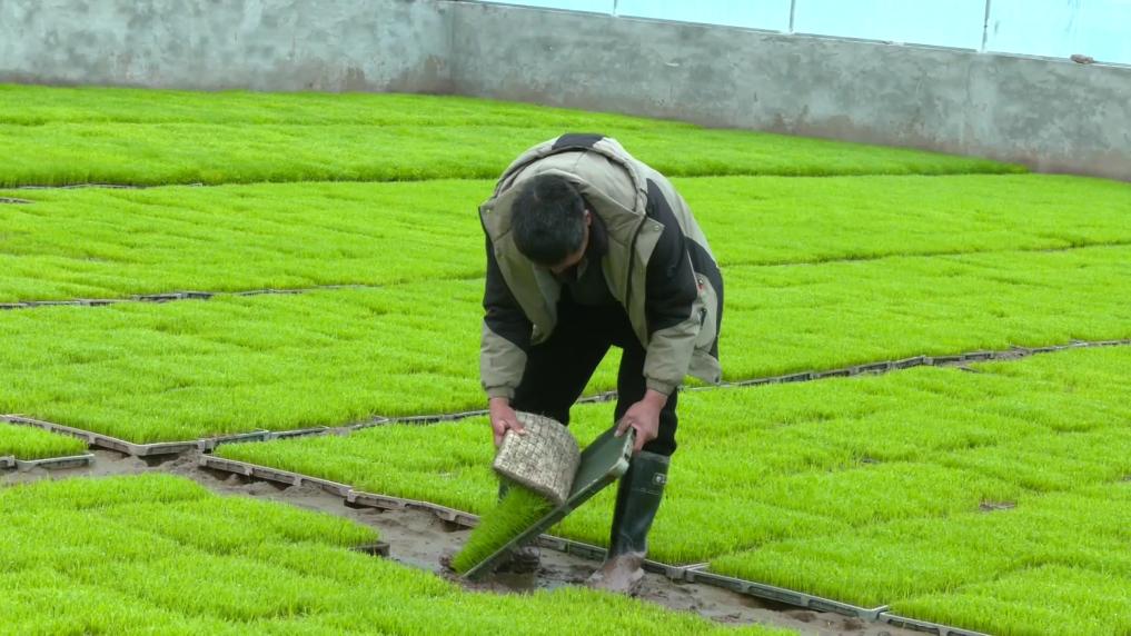 
广州儿童医院黄牛代挂号电话票贩子号贩子网上预约挂号,住院检查加快,新华视点｜春耕一线扫描：精准施策 向新提质