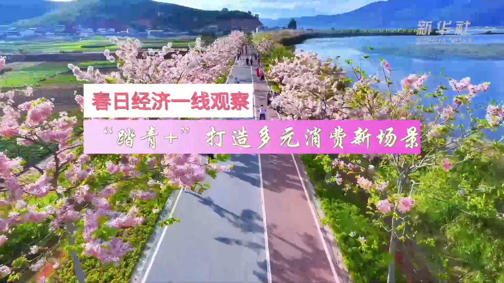 
广州肿瘤医院黄牛代挂号电话票贩子号贩子网上预约挂号,住院检查加快,春日经济一线观察｜“踏青+”打造多元消费新场景