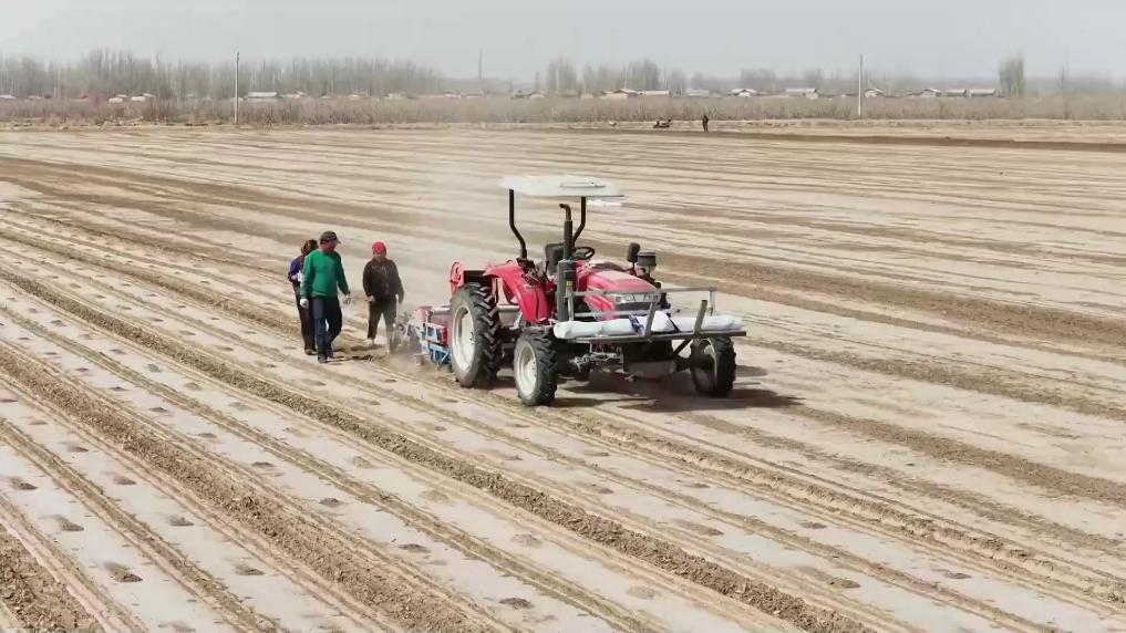 
广州儿童医院黄牛代挂号电话票贩子号贩子网上预约挂号,住院检查加快,新华视点｜春耕一线扫描：精准施策 向新提质
