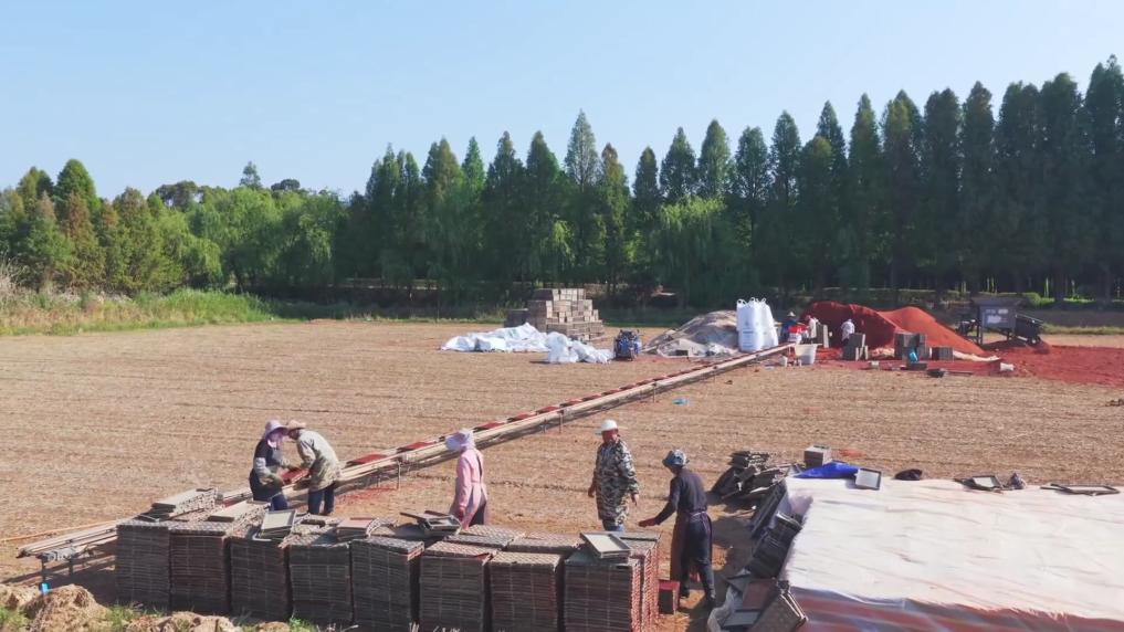 
广州儿童医院黄牛代挂号电话票贩子号贩子网上预约挂号,住院检查加快,新华视点｜春耕一线扫描：精准施策 向新提质