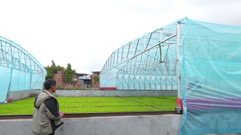 
广州儿童医院黄牛代挂号电话票贩子号贩子网上预约挂号,住院检查加快,新华视点｜春耕一线扫描：精准施策 向新提质