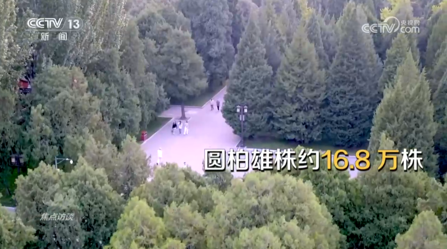 
广州中医药大学一附医院黄牛代挂号电话票贩子号贩子网上预约挂号,住院检查加快,焦点访谈｜花粉过敏成“隐形烦恼”，如何应对？一文了解