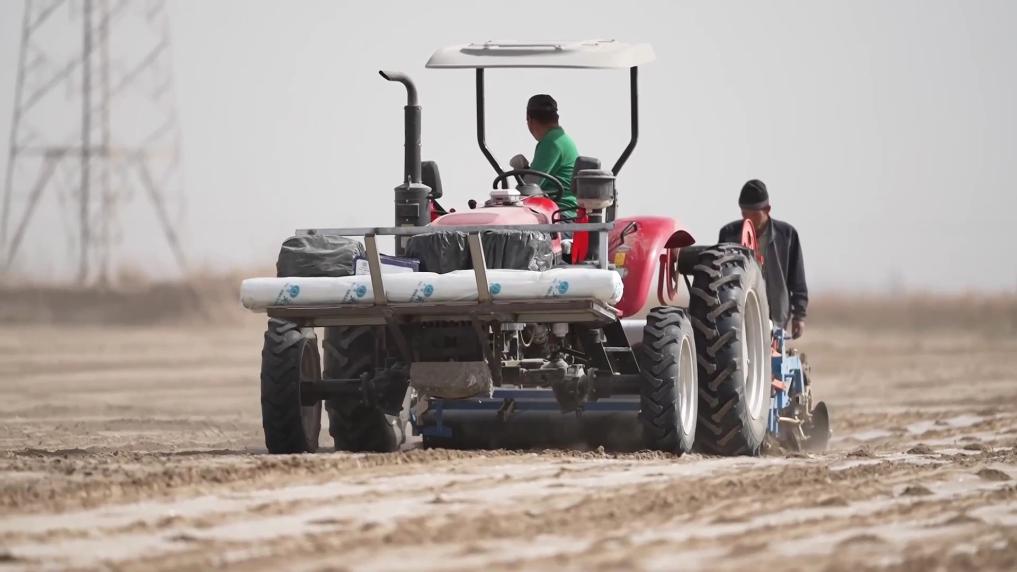 
广州儿童医院黄牛代挂号电话票贩子号贩子网上预约挂号,住院检查加快,新华视点｜春耕一线扫描：精准施策 向新提质