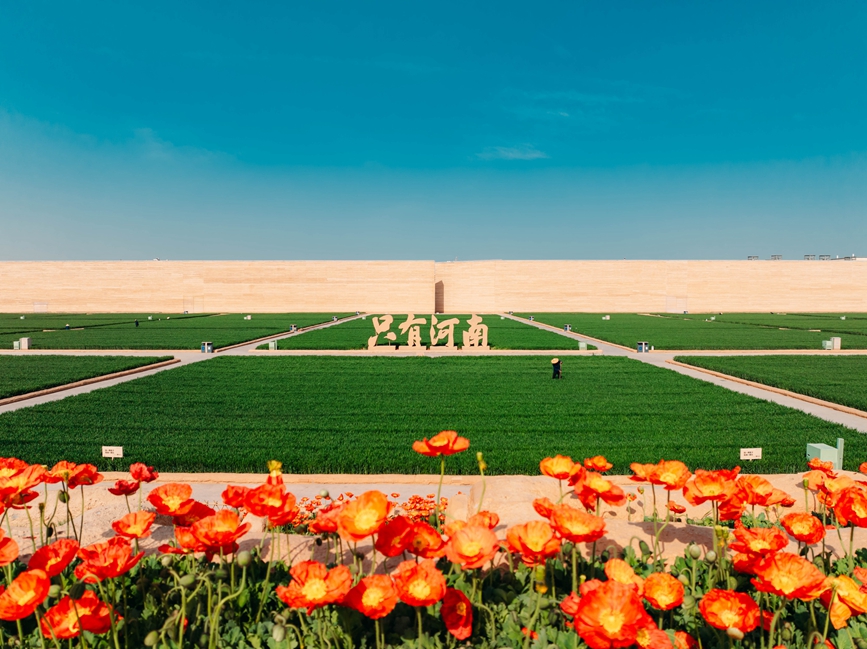 
浙江大学邵逸夫医院黄牛代挂号电话票贩子号贩子网上预约挂号,住院检查加快,潮起中原 万象皆中