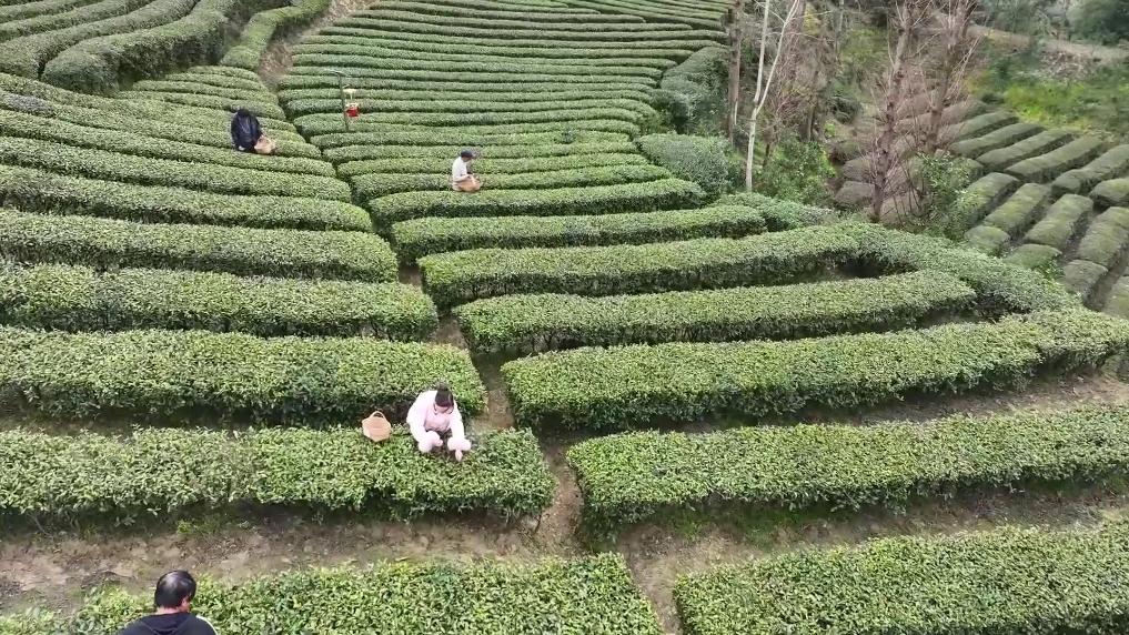 
广州儿童医院黄牛代挂号电话票贩子号贩子网上预约挂号,住院检查加快,新华视点｜春耕一线扫描：精准施策 向新提质