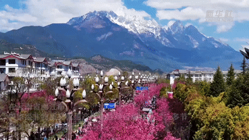 
广州肿瘤医院黄牛代挂号电话票贩子号贩子网上预约挂号,住院检查加快,春日经济一线观察｜“踏青+”打造多元消费新场景