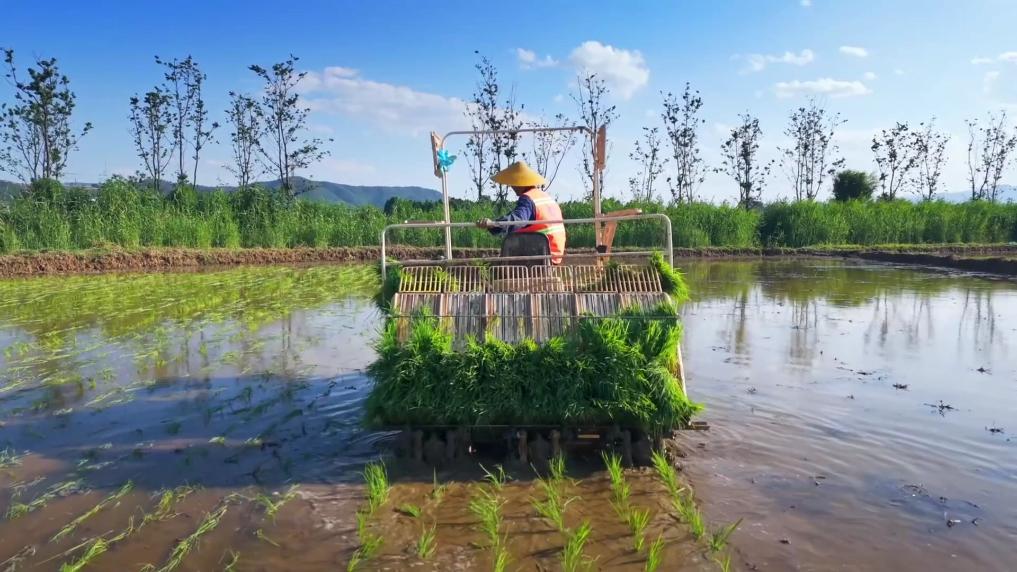 
广州儿童医院黄牛代挂号电话票贩子号贩子网上预约挂号,住院检查加快,新华视点｜春耕一线扫描：精准施策 向新提质