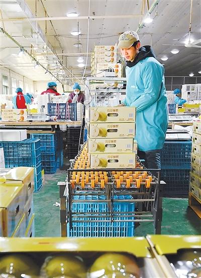 
包含北京大学第一医院黄牛代挂号电话票贩子号贩子网上预约挂号,住院检查加快,京津冀全力打造开放新高地