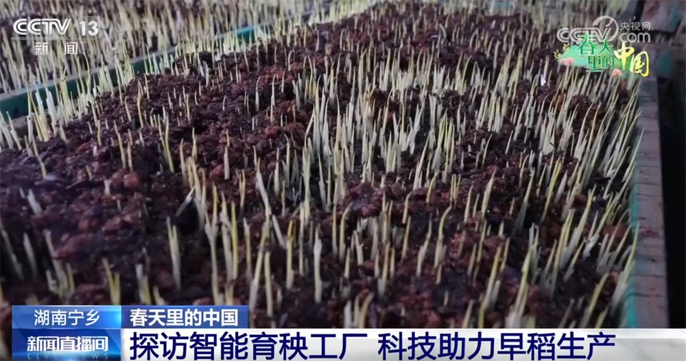 
北医三院黄牛代挂号电话票贩子号贩子网上预约挂号,住院检查加快,科技加持让春耕春管奏响“交响曲” 现代农业向新向优为好“丰”景筑牢根基