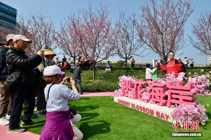 
南京脑科医院黄牛代挂号电话票贩子号贩子网上预约挂号,住院检查加快,香江四季繁花盛，湾区共促“赏花经济”正当时